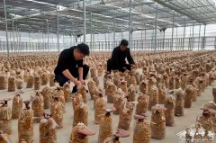 <b><b>鞭策党建取成长深度融</b></b>